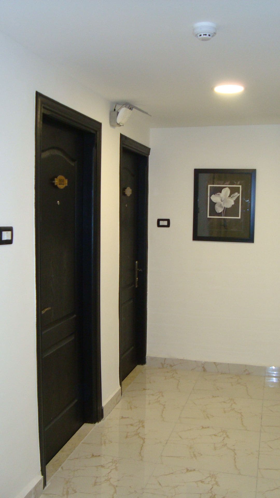 A hallway with two dark wooden doors, a ceiling-mounted light fixture, and a framed picture on the wall.