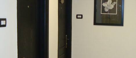 A hallway with two dark wooden doors, a ceiling-mounted light fixture, and a framed picture on the wall.