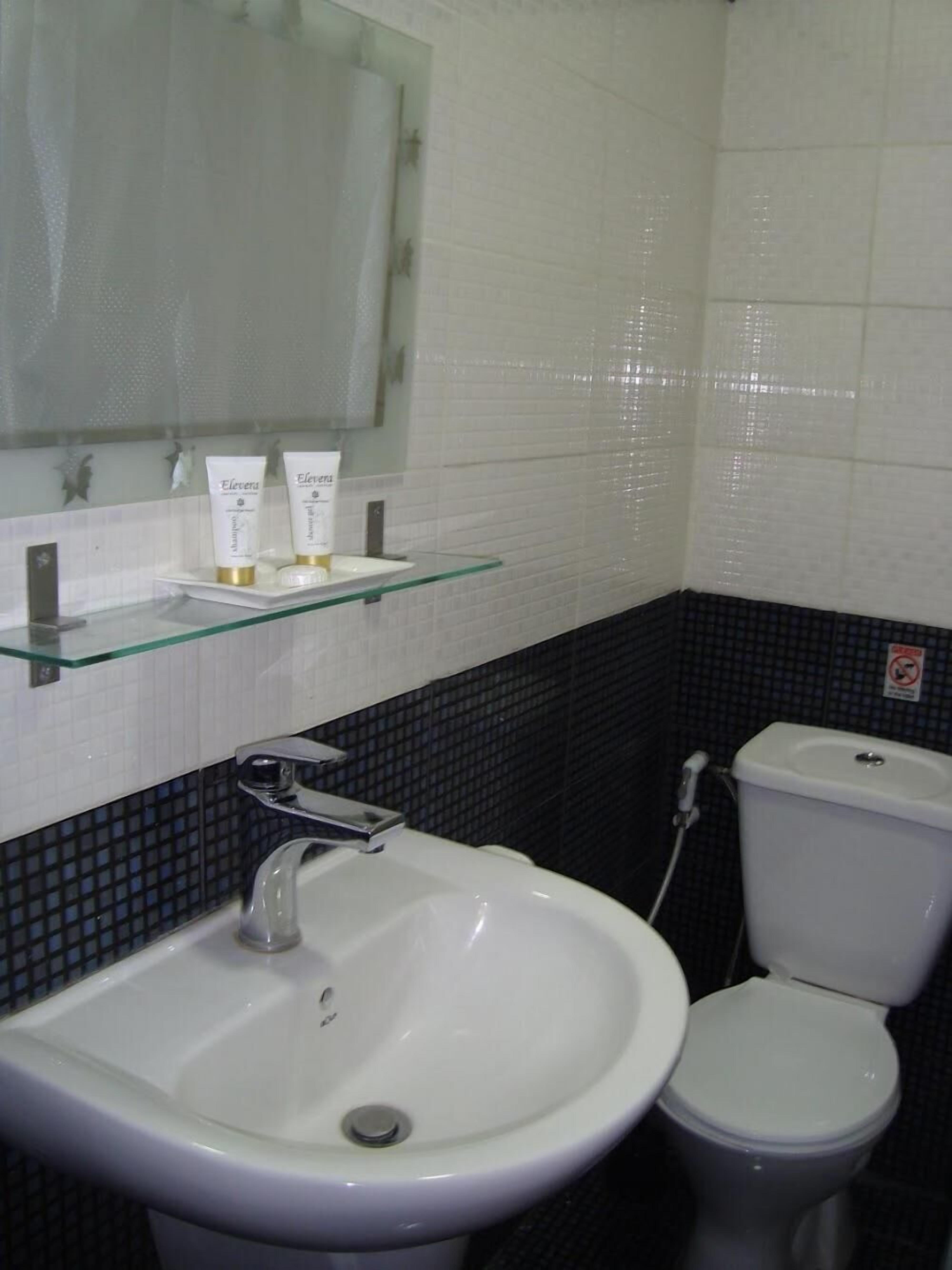 A bathroom with a white sink, a glass shelf with toiletries, a mirror, and a toilet.