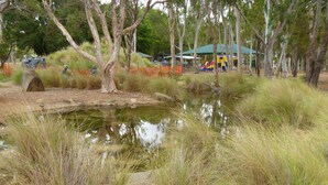 A natural landscape with a pond, trees, and a playground in the background.