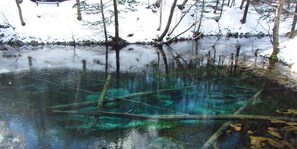A clear view of a water body with reflections of trees and a wooden structure. - Kiyosato Ihatov Hostel (Kiyosato)