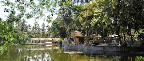 Quang cảnh hồ