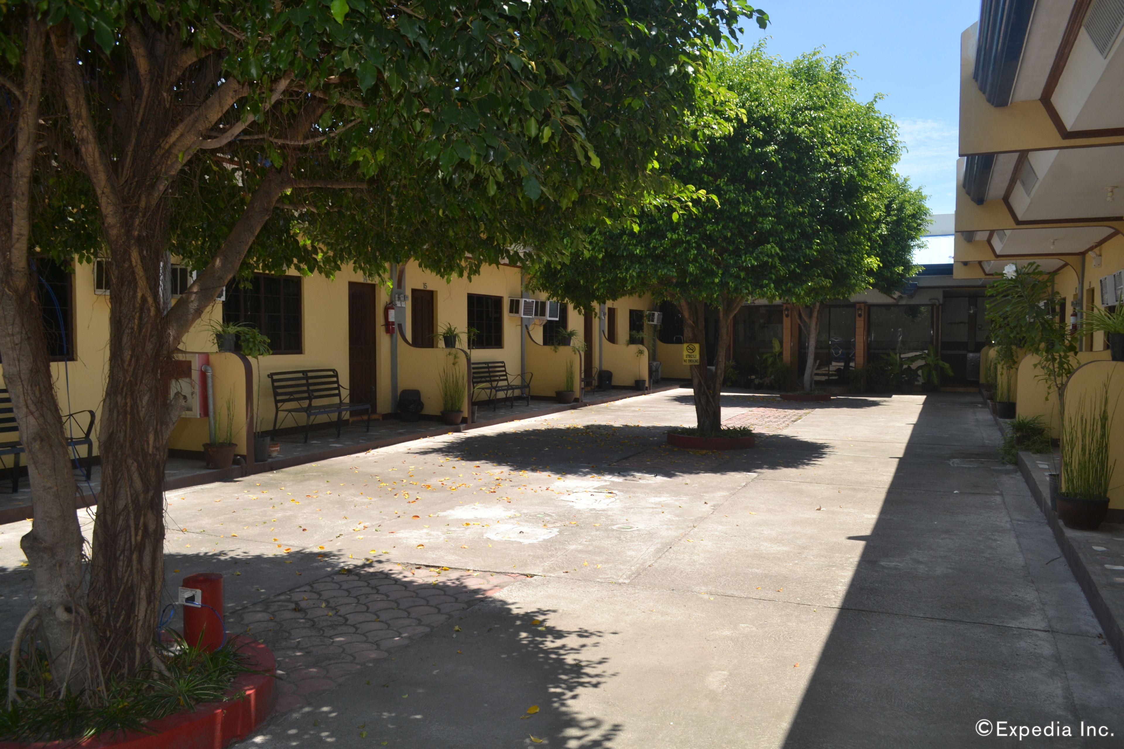 Un patio con árboles, bancos y plantas en macetas.