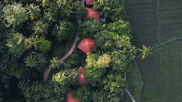 An aerial view of a resort with multiple red-roofed buildings surrounded by dense tropical vegetation and a rice paddy field.