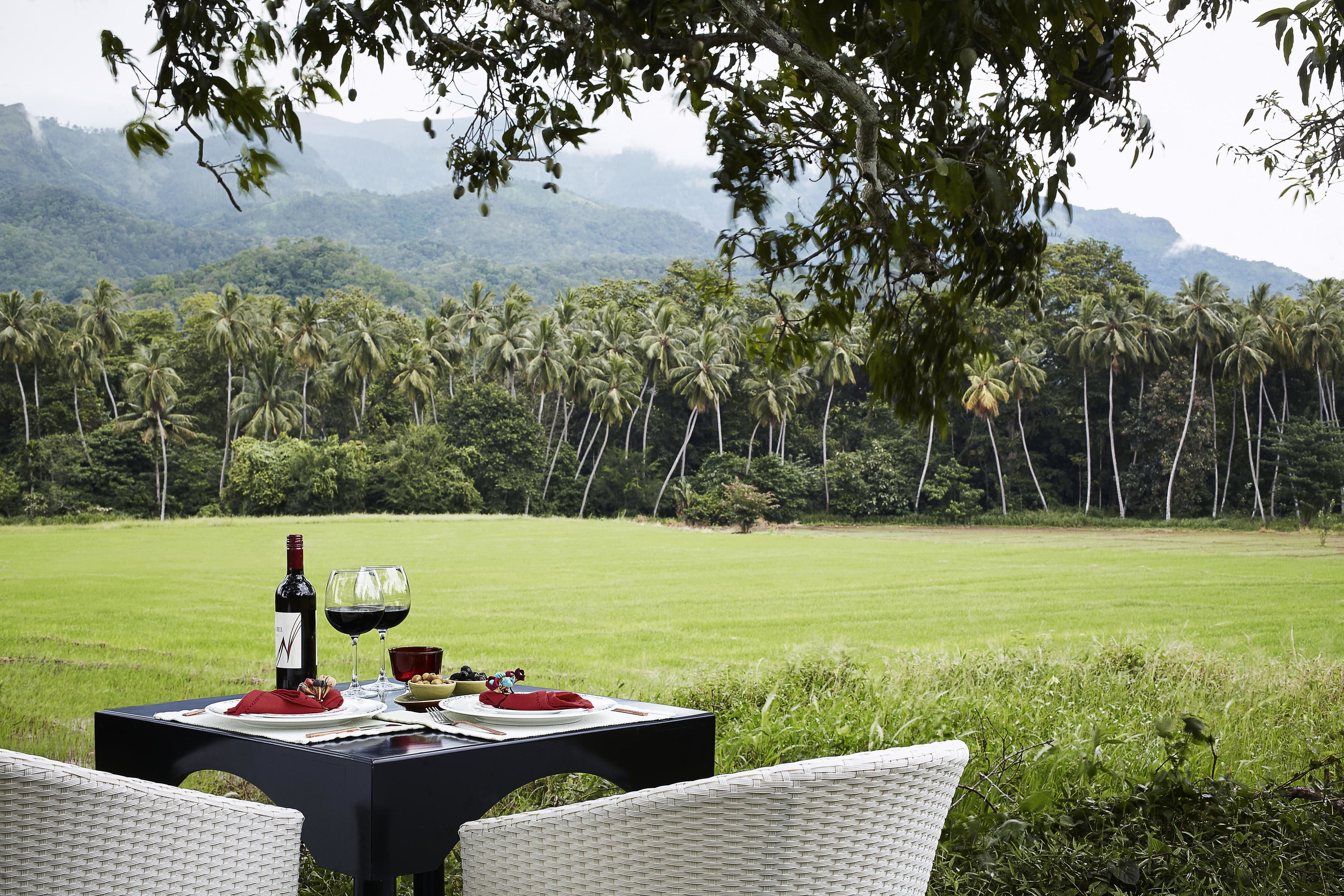 A table set for two with a bottle of wine and glasses, overlooking a lush green field and palm trees.