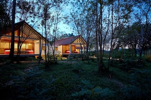 Wel Vidana - Forest View | Garden view