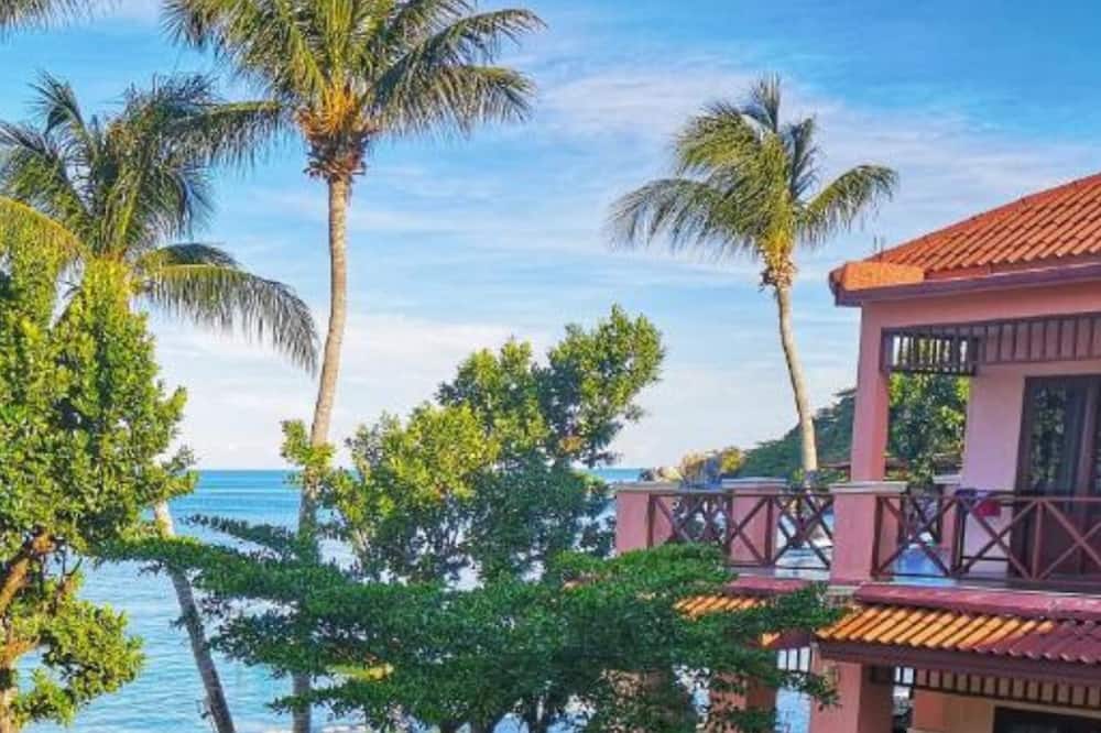 Little Paradise