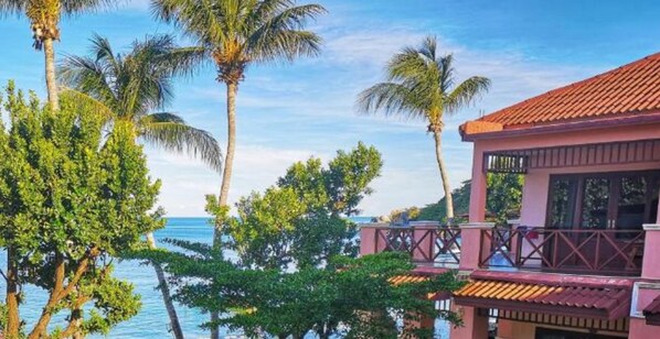 الإطلالة من المنشأة