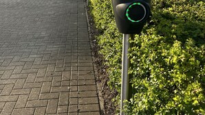 Um parquímetro com visor digital, ao lado de um caminho pavimentado com uma sebe.