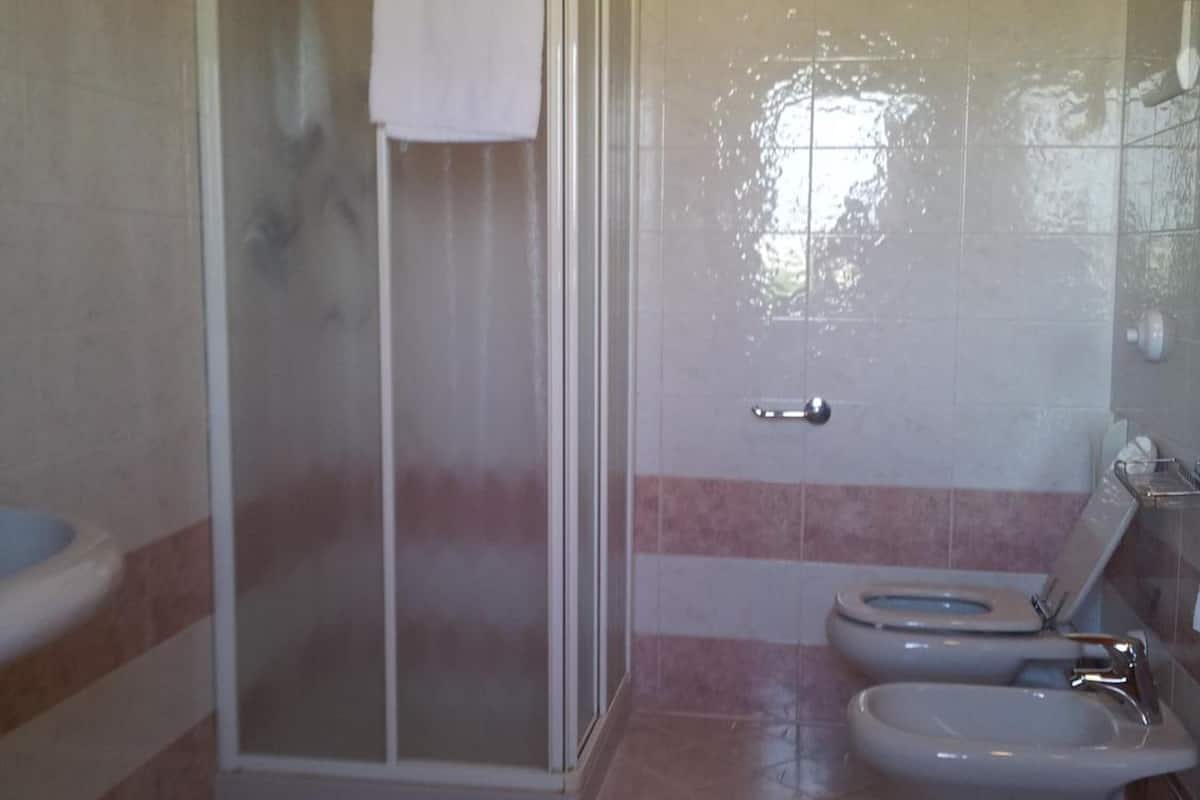 free toiletries, hair dryer, bidet, towels