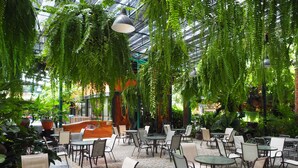 An indoor cafe with tables and chairs, surrounded by hanging green plants and a patterned floor.