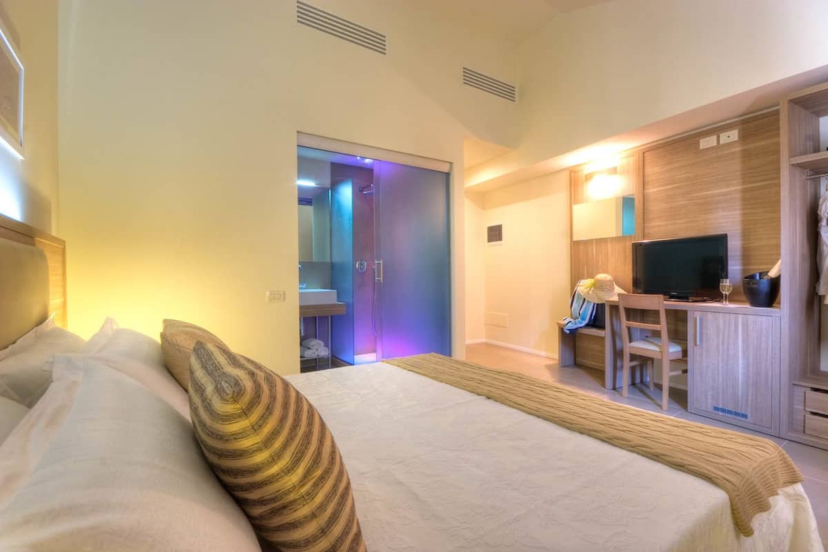 A hotel room with a bed, a desk with a TV, and a shower area.