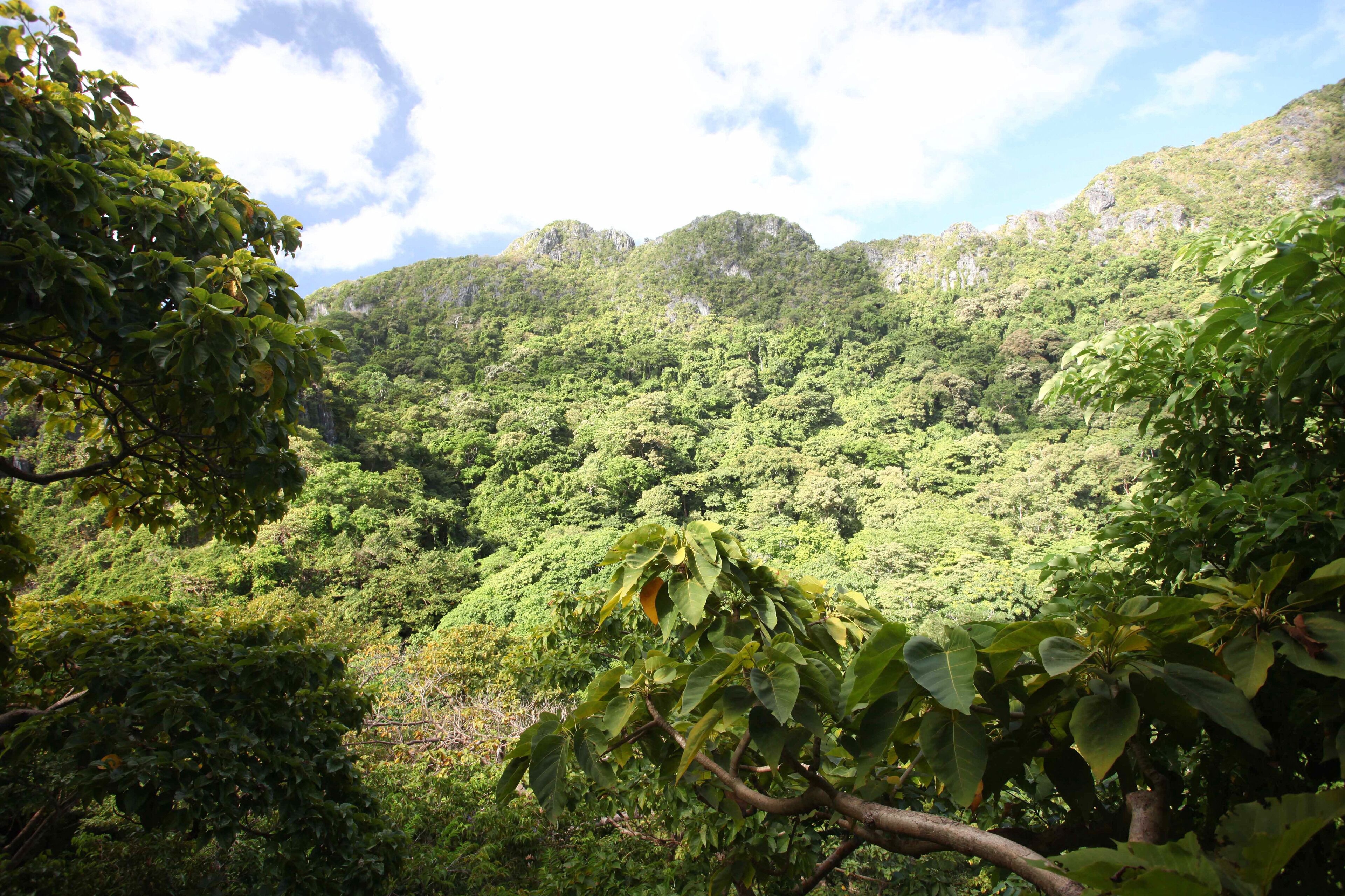 Foto - Matinloc Island Resort