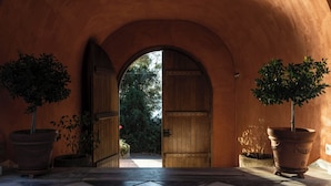 A tunnel-like entrance with a wooden door, potted plants, and a lantern. - Villa Veneziano Lefkada (Lefkada)