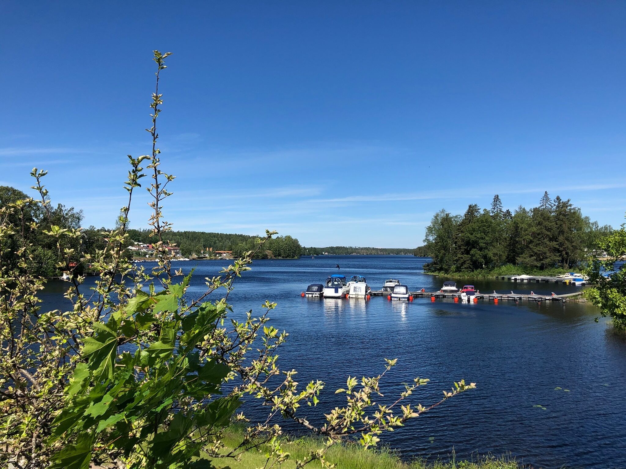 A lake with boats docked at a pier, surrounded by trees and a clear sky.