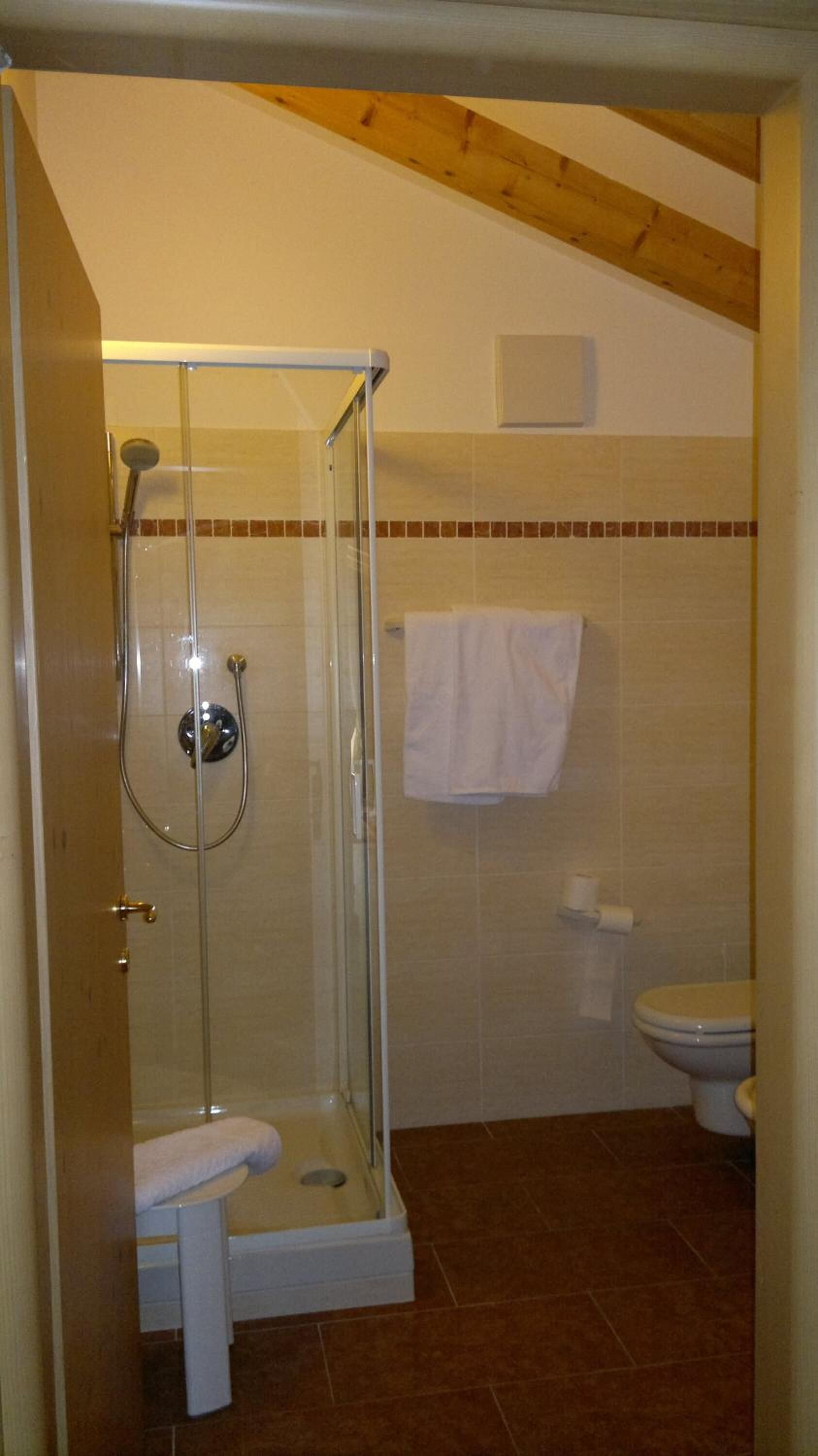 shower, free toiletries, bidet, towels
