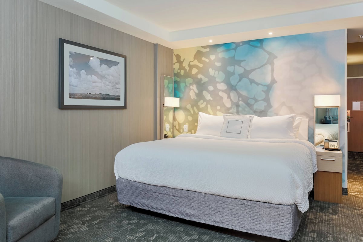 Suite, 1 King Bed with Sofa bed (Hearing Accessible) | Desk, laptop workspace, iron/ironing board, free WiFi