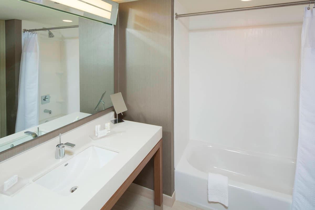 hair dryer, towels, soap, shampoo