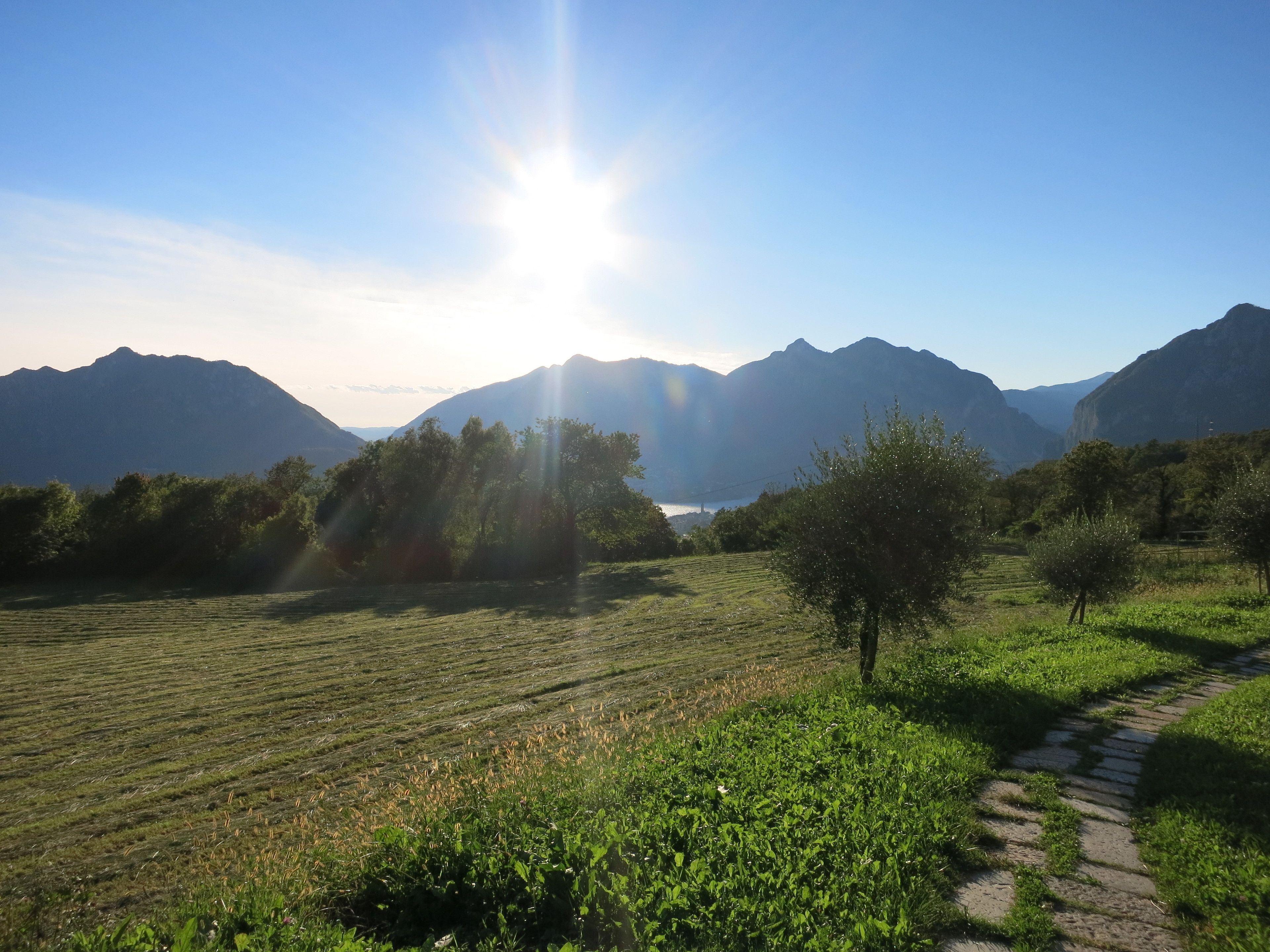 A landscape with mountains, a clear sky, and a path leading through a field.
