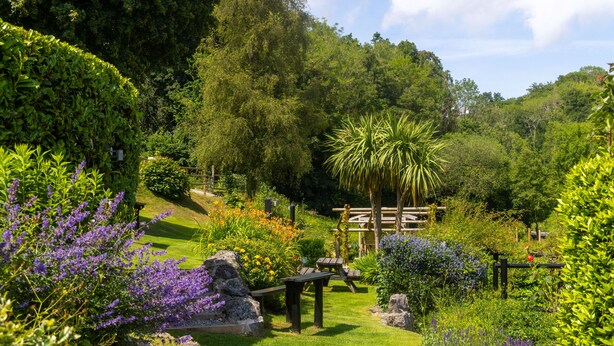 Un jardin luxuriant avec un banc en bois, un palmier et diverses plantes à fleurs.