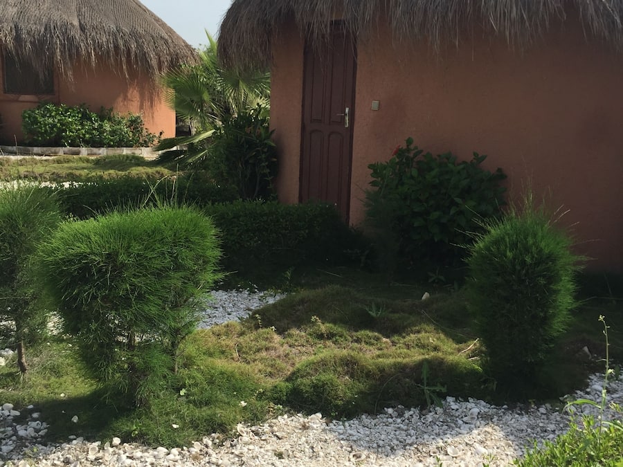 Vista desde la propiedad