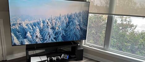 Flat-screen TV, fireplace, video game console, Netflix