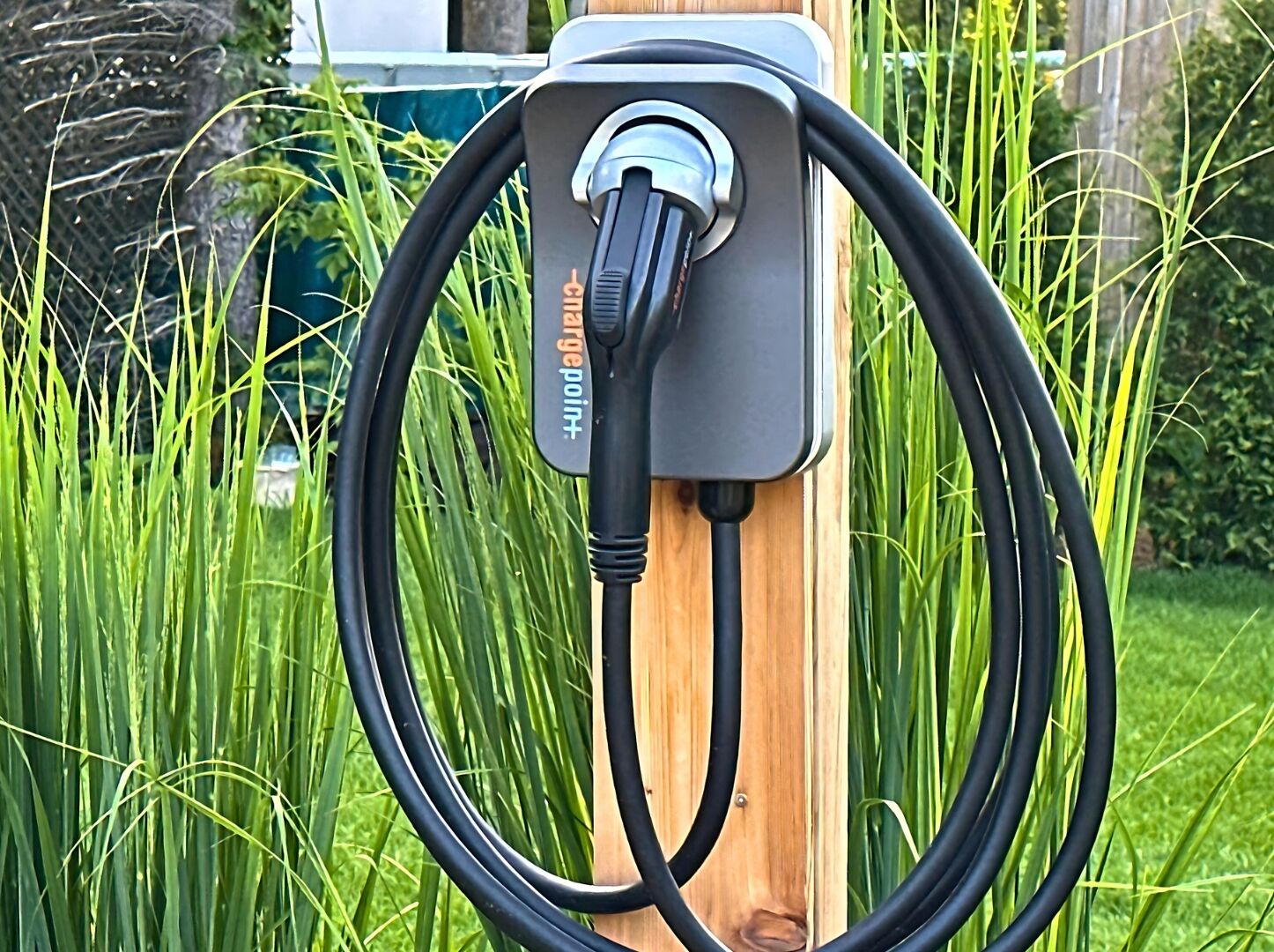 Une borne de recharge, avec un câble branché, se dressant sur un fond d’herbe haute.