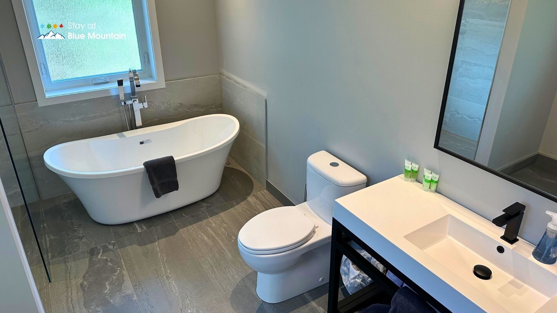 A modern bathroom with a freestanding bathtub, a toilet, and a sink with a mirror.