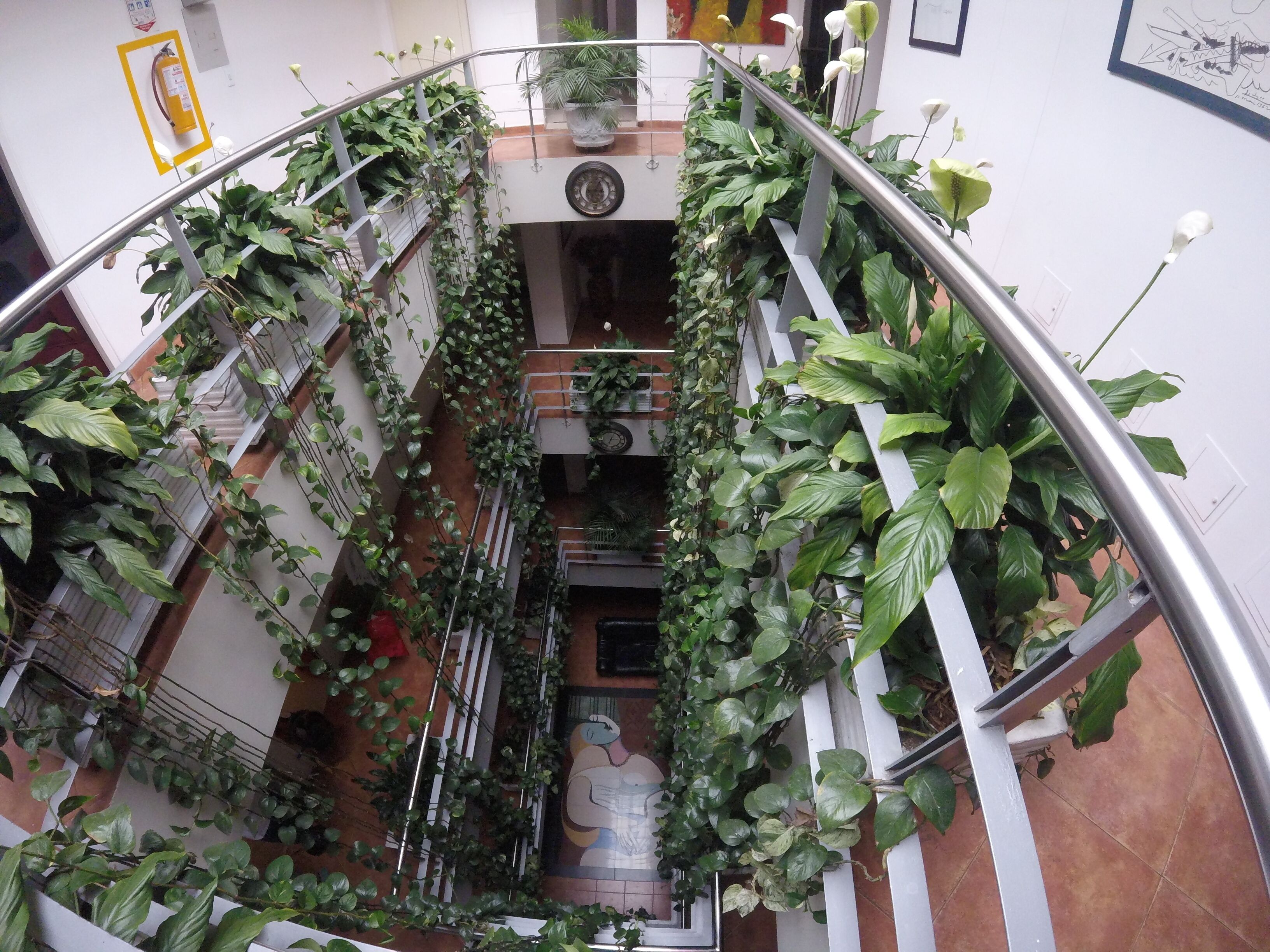 Photo - Hotel Picasso Inn