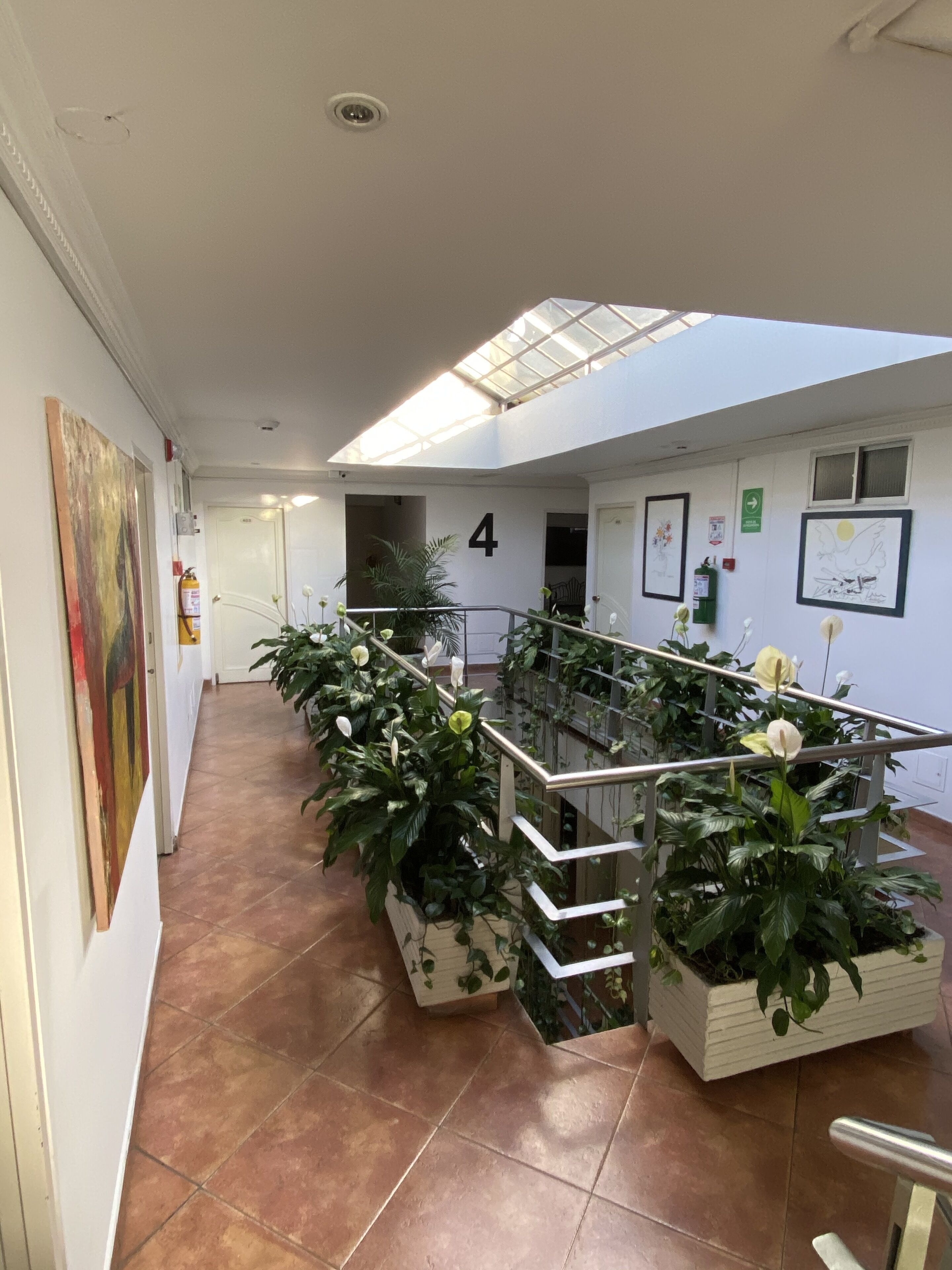 Photo - Hotel Picasso Inn