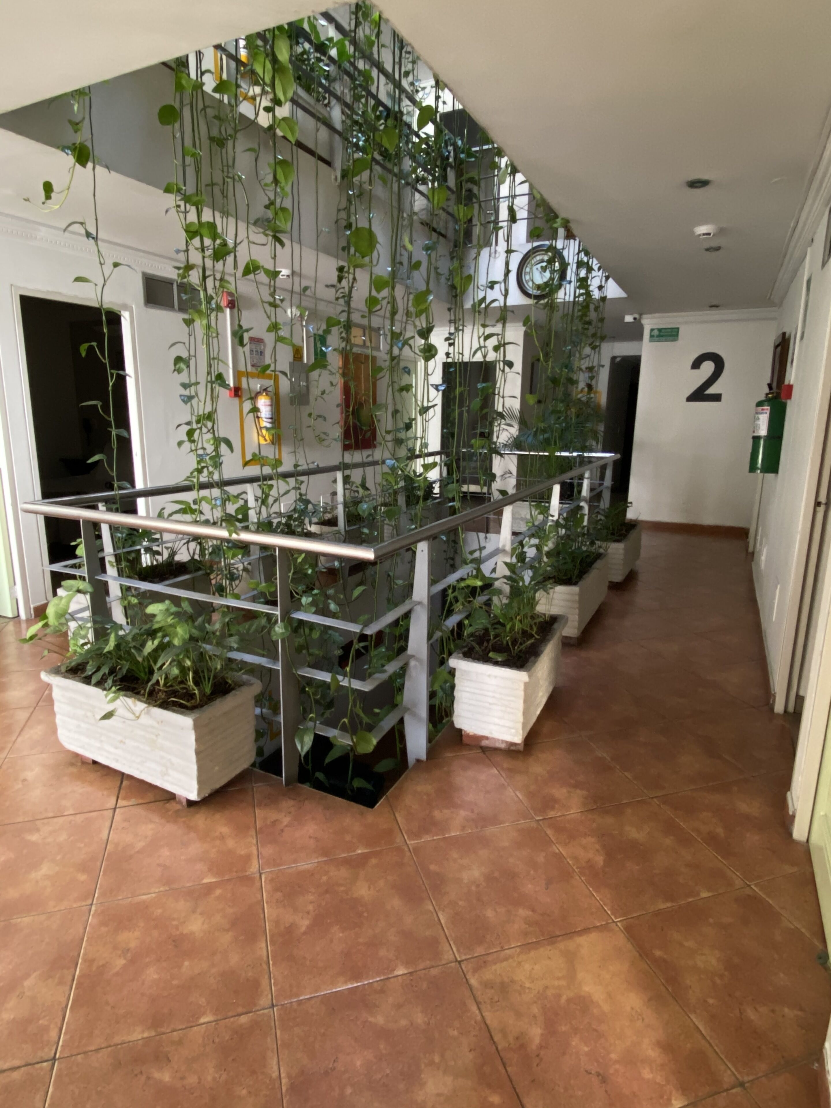 Photo - Hotel Picasso Inn