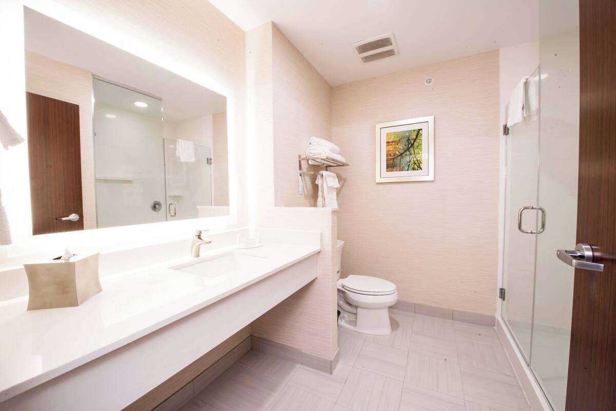 shower, free toiletries, hair dryer, towels