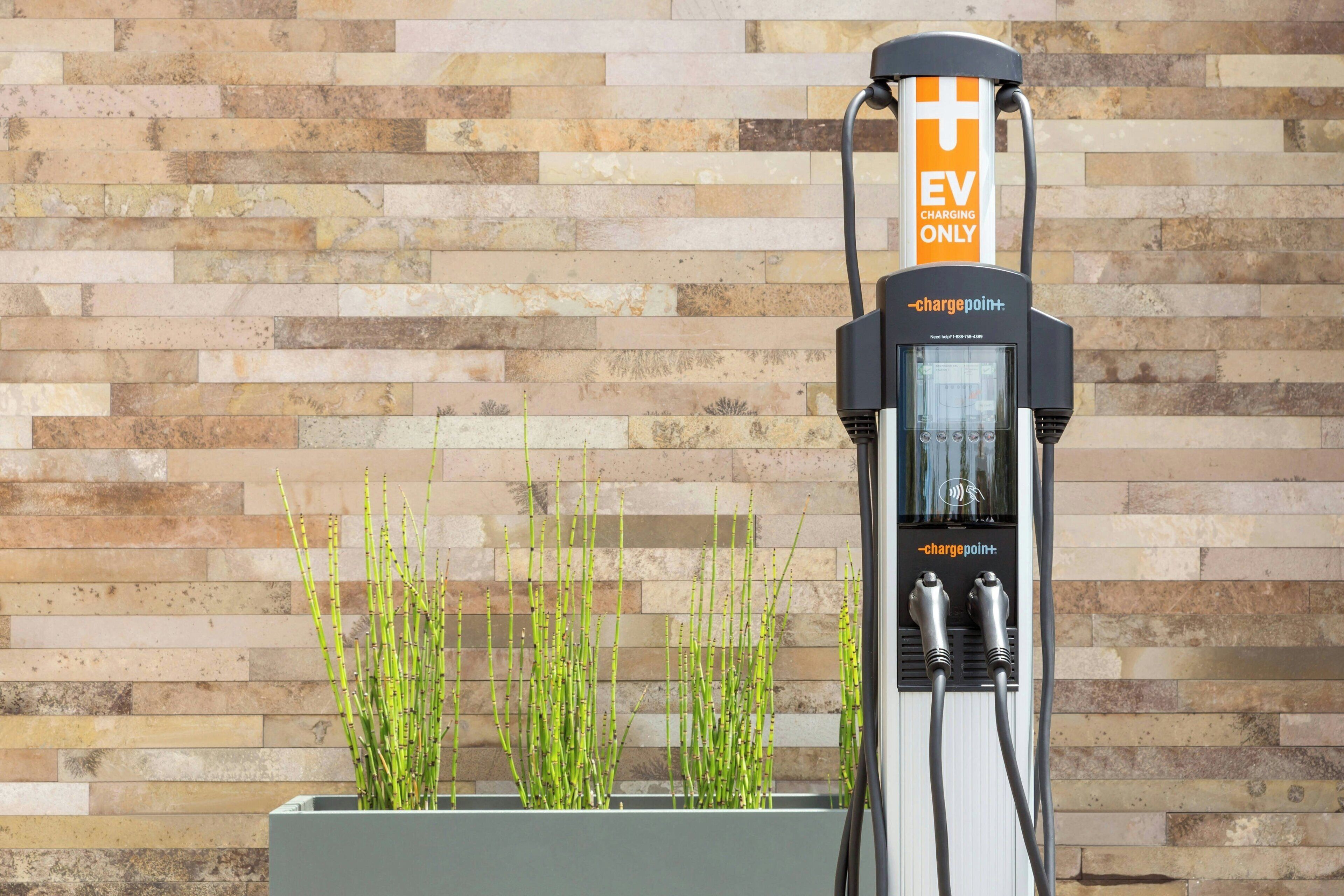 An EV charging station with a sign indicating it is for EVs only, next to a planter with green plants.