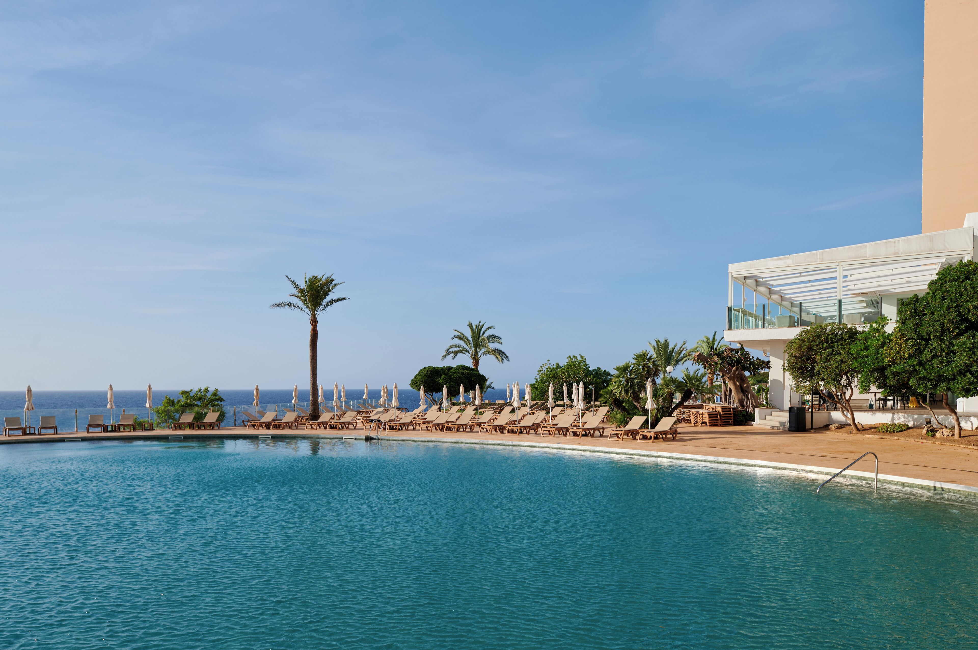 A pool area with lounge chairs and umbrellas, a palm tree, and a view of the ocean.