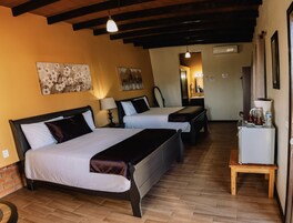 Cubrecamas, minibar, decoración personalizada y muebles diferentes 