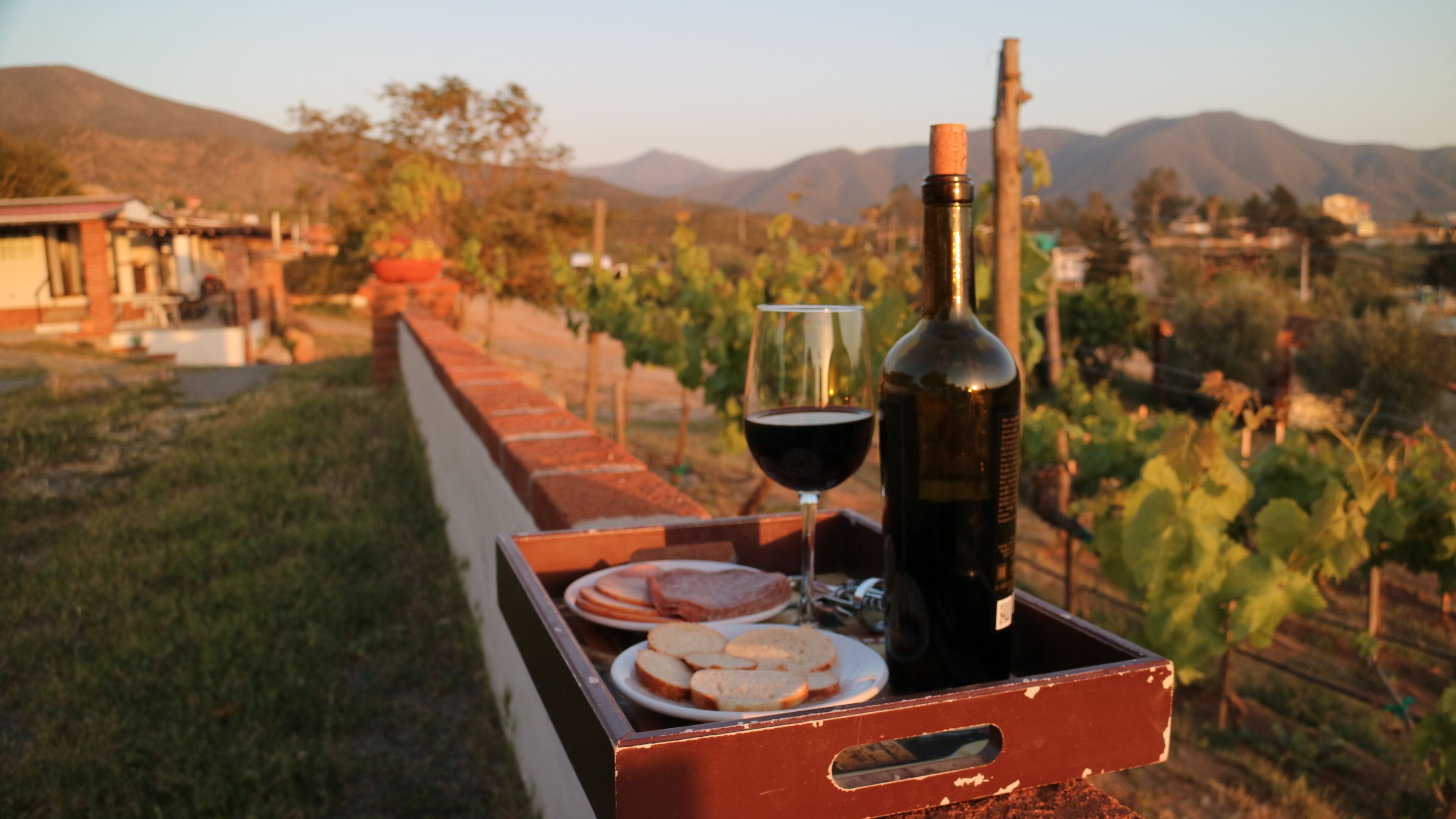 A wine bottle and glass on a tray with bread slices, set against a vineyard backdrop.