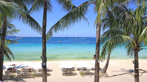Una playa con palmeras, agua azul cristalina y varias sillas y sombrillas.