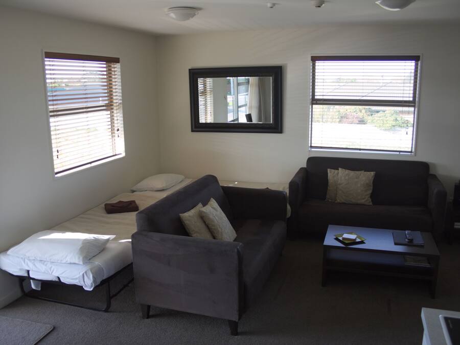A compact living space with a bed, two sofas, a coffee table, and a mirror.