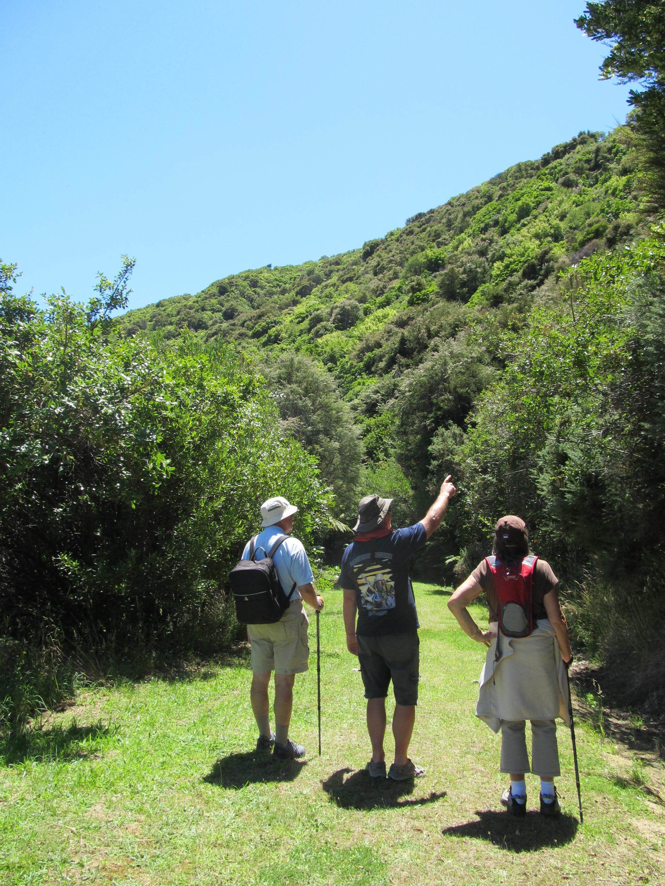 Hiking