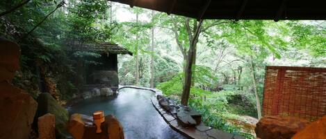 A stone pathway leading to a hot spring surrounded by lush greenery.