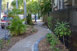 A paved pathway lined with small trees and shrubs, leading to a building with a black metal fence. - Frogshollow Backpackers (Darwin)