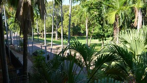 A view of a street lined with tall palm trees and a grassy area in the background. - Frogshollow Backpackers (Darwin)