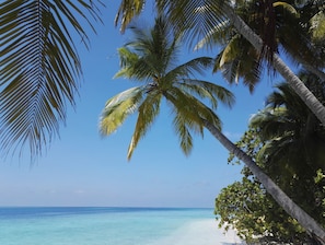 Private beach, white sand, scuba diving, fishing