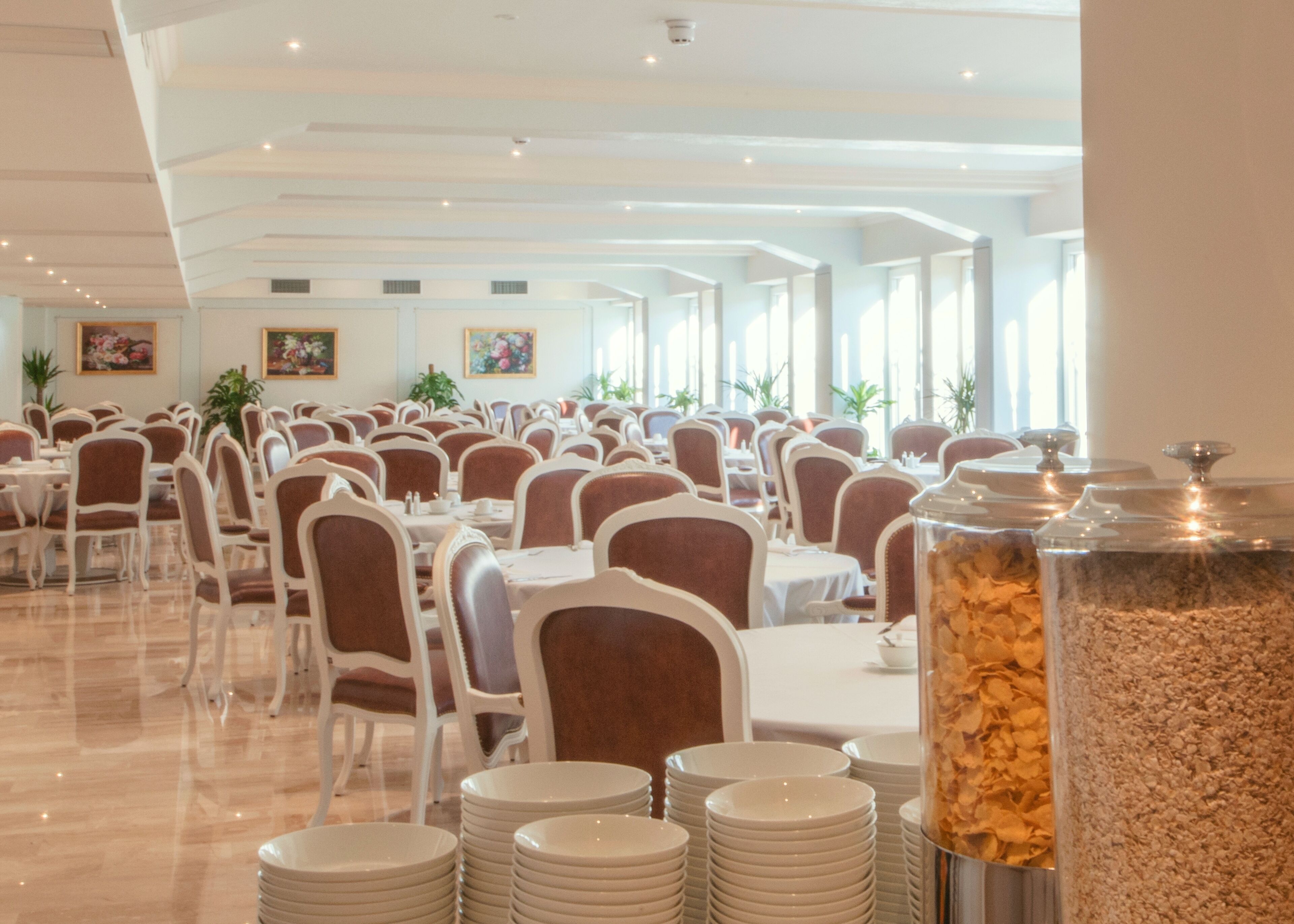 Un amplio salón de banquetes con filas de mesas y sillas, ventanas grandes y una planta decorativa.
