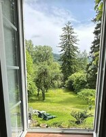 Vista a través de una ventana de un exuberante jardín con árboles y césped.