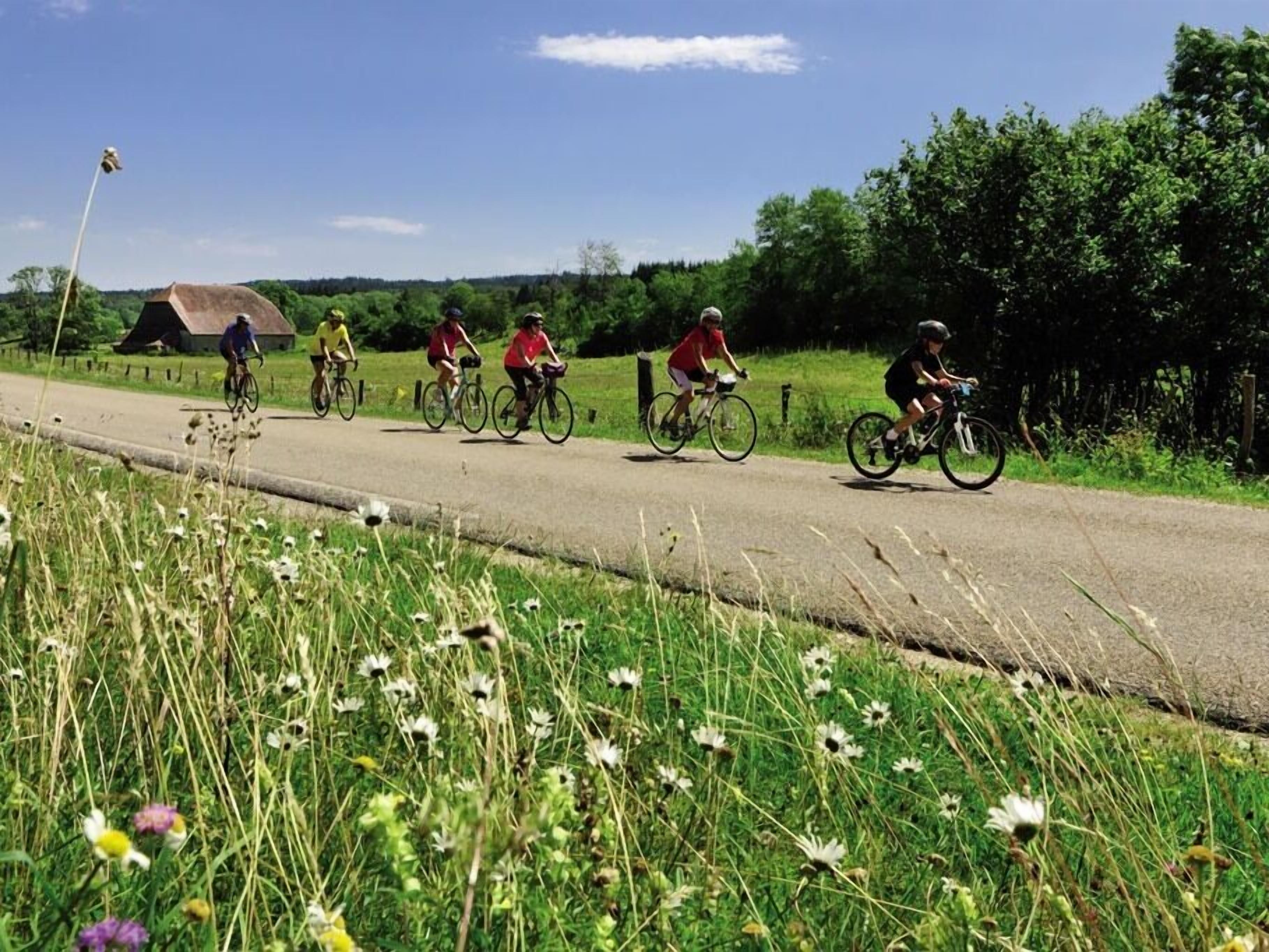 A group of cyclists on a rural road with greenery and a clear sky.