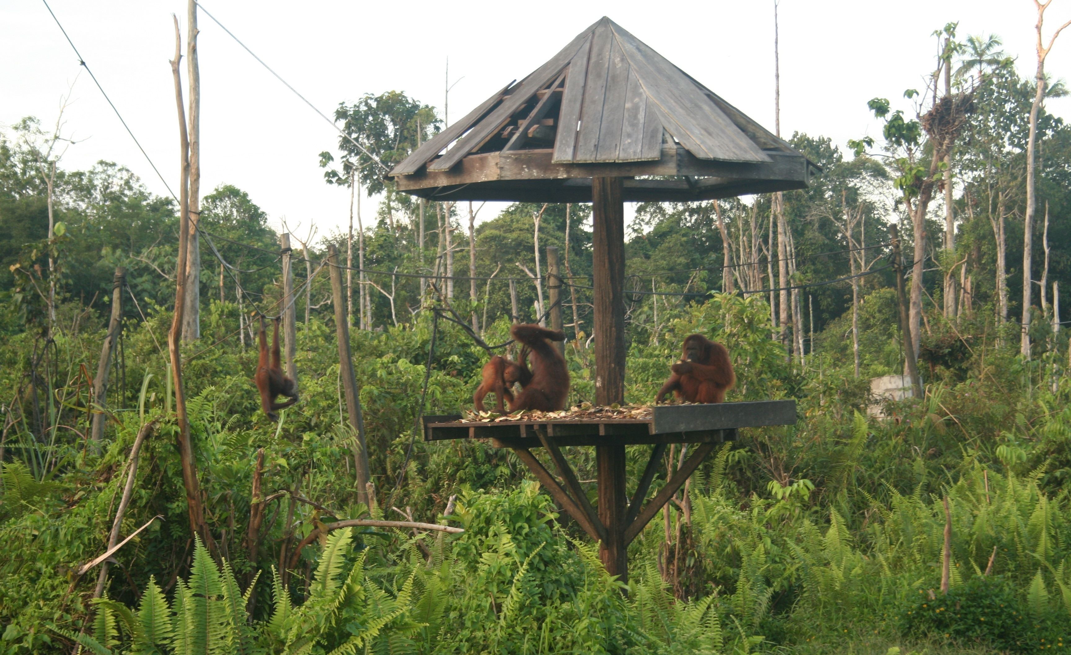 Bahagian luar