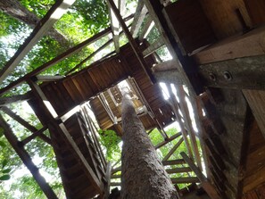 Khuôn viên nơi lưu trú