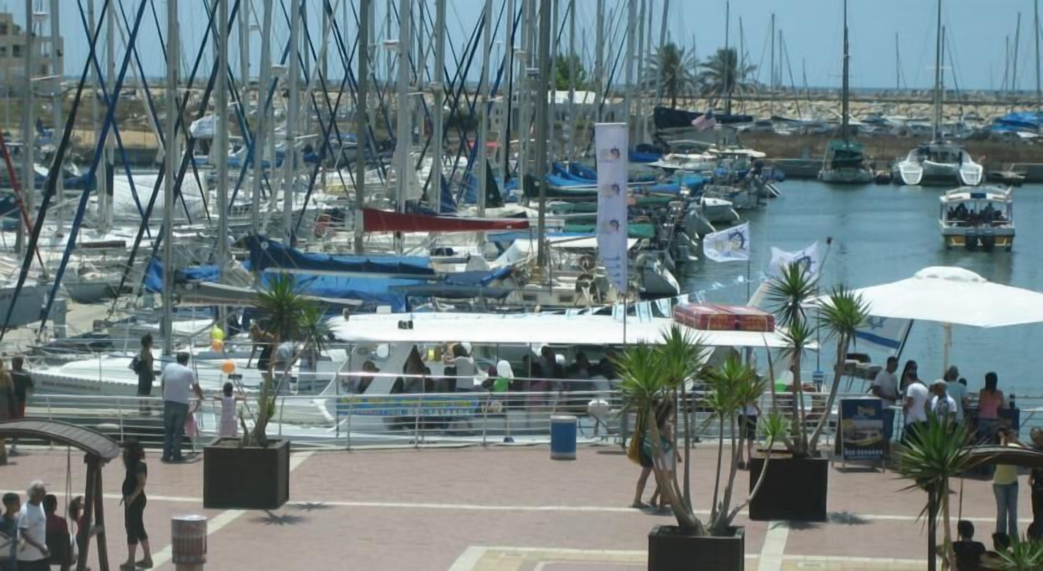A marina with numerous boats docked, a covered seating area, and a pedestrian walkway with palm trees.