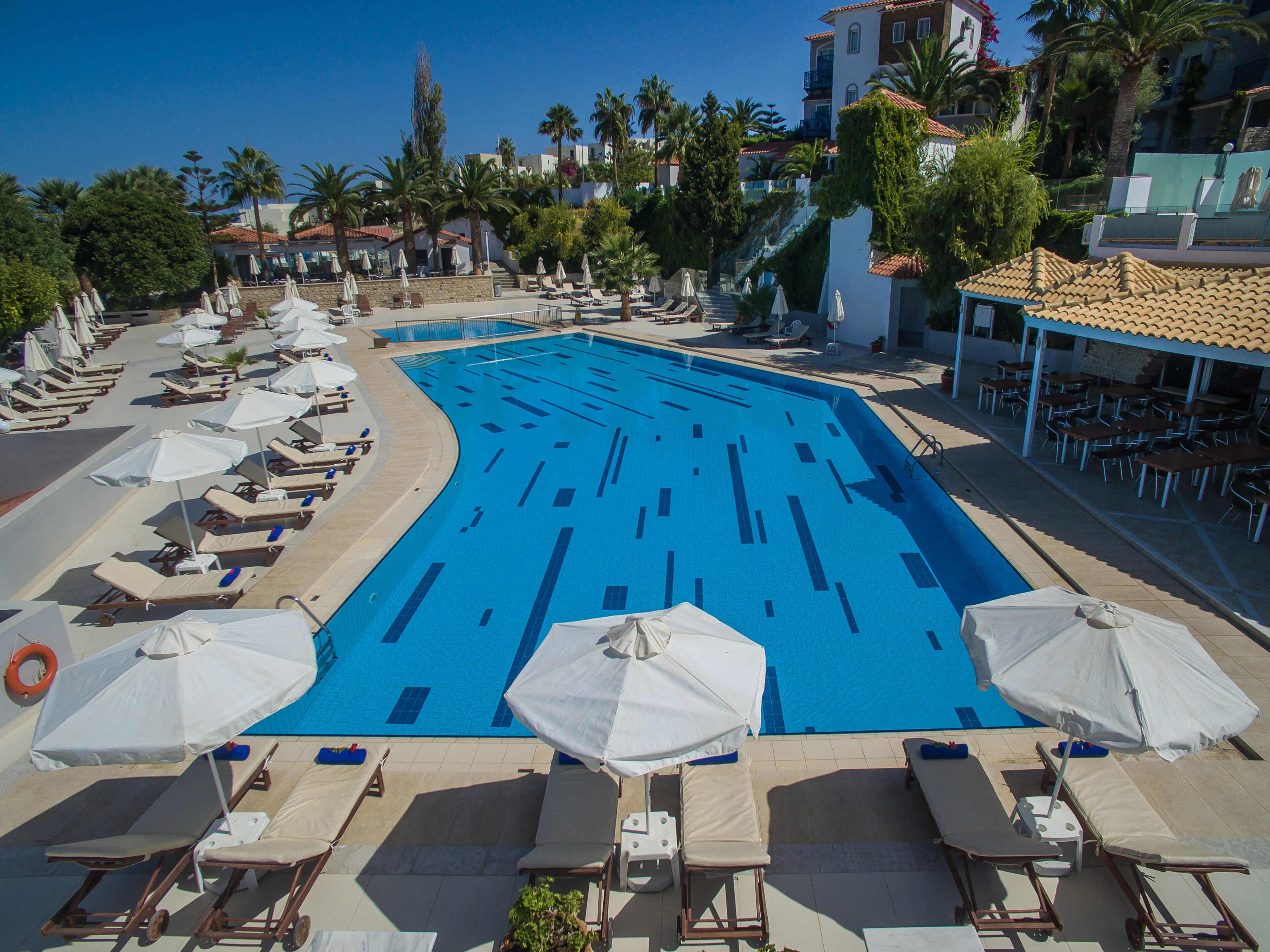 A swimming pool with lounge chairs and umbrellas, surrounded by palm trees and buildings.